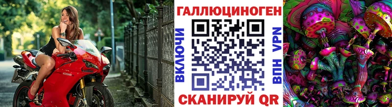 наркота  Верхотурье  Псилоцибиновые грибы Psilocybine cubensis 